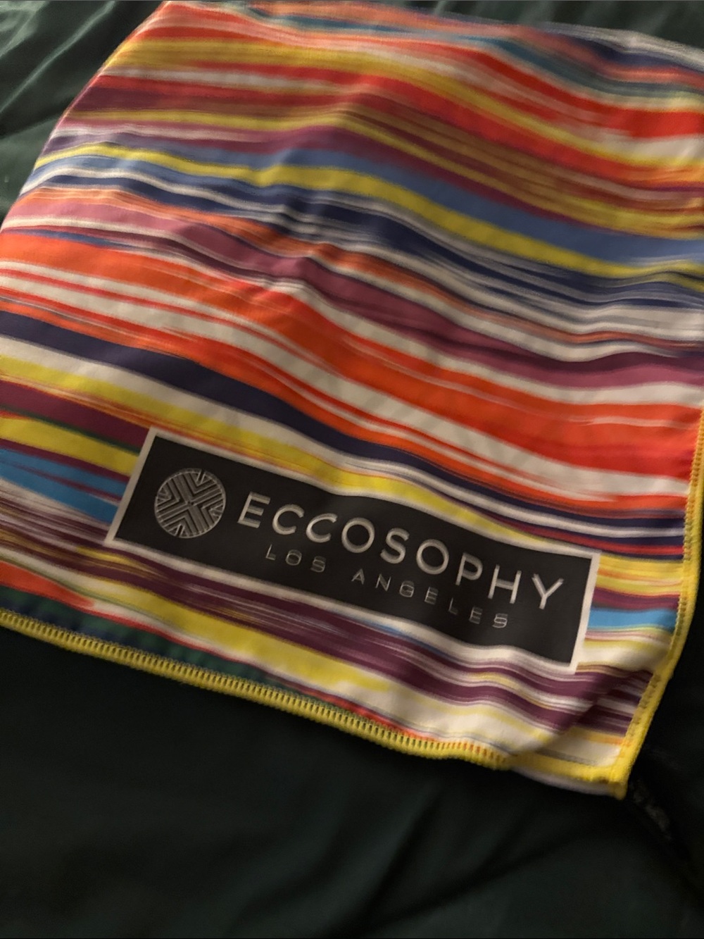 ECCOSOPHY Los Angeles Multicolor Striped Scarf